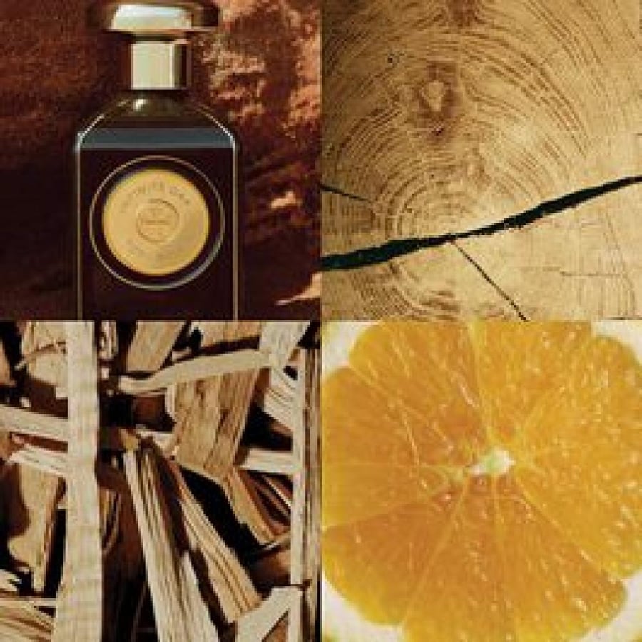عطر توري بورتش انفينت اوك 90مل
