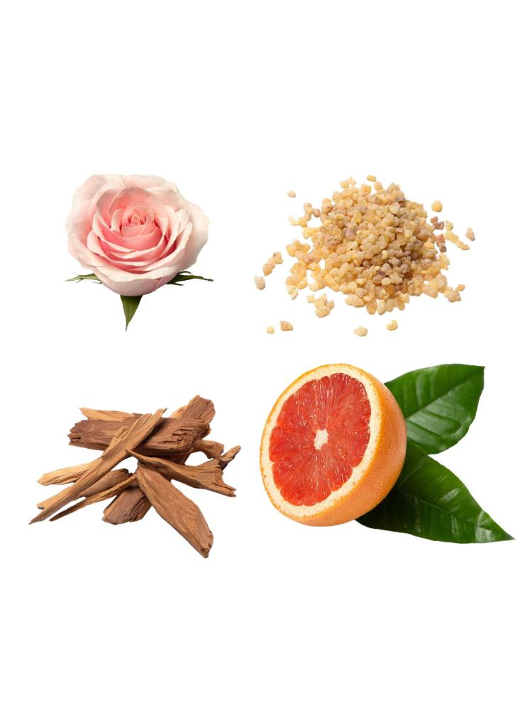 عطر بريوني أو دو بيرفيوم إيكلات 100 مل