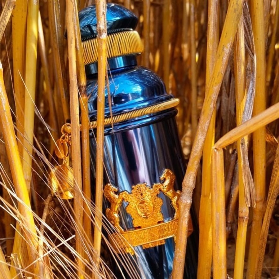 عطر ألكسندر جي زفير عود فانيلا أو دو برفيوم 100 مل
