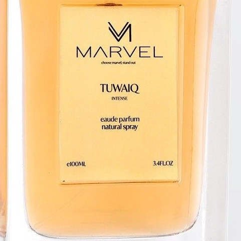 عطر طويق انتينس 100 مل