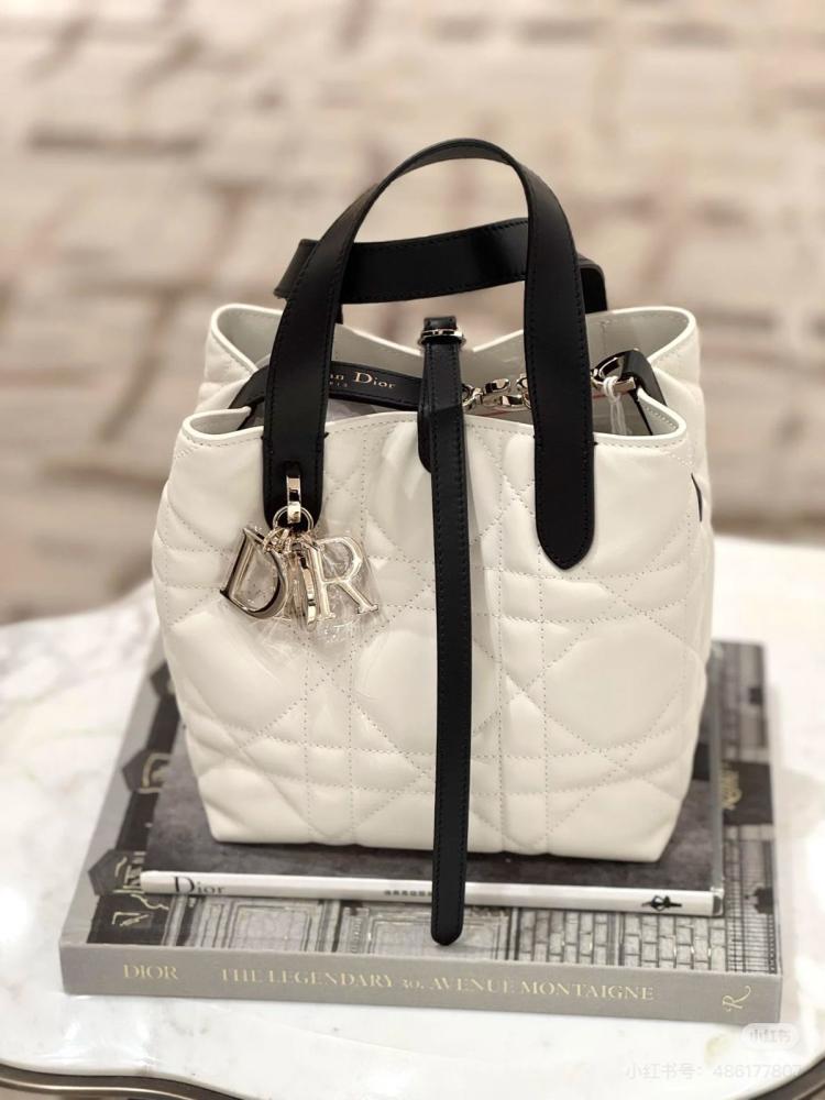 حقيبة اليد  توت Dior Toujours size 18