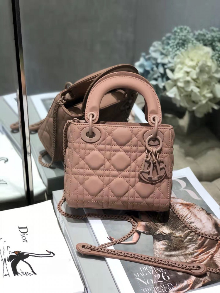 Lady Dior bag size 17