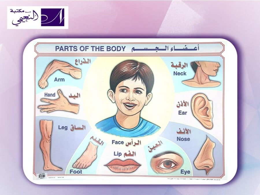 وسائل تعليمية اعضاء الجسم