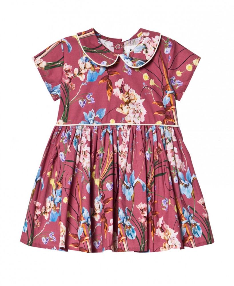 Molo | Cinna Dress Ikebana Rose | Ikebana Rose | Dresse فستان مورد من مولو