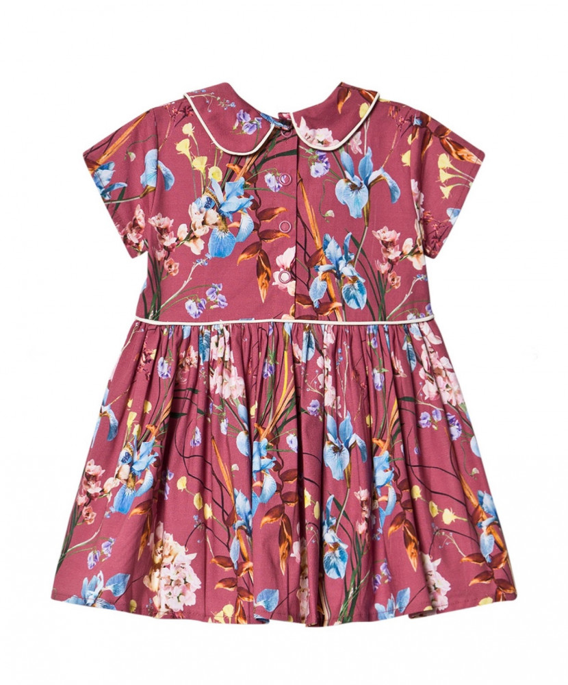 Molo | Cinna Dress Ikebana Rose | Ikebana Rose | Dresse فستان مورد من مولو