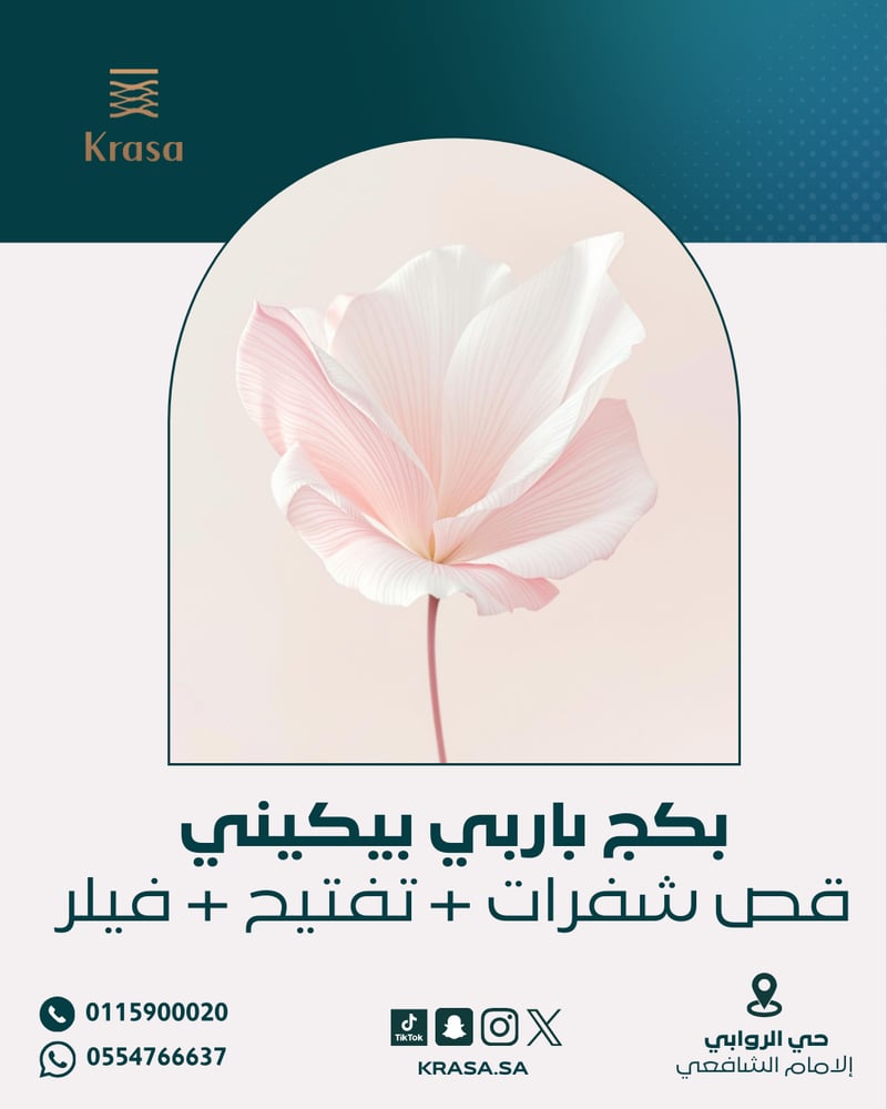 بكج باربي بيكيني