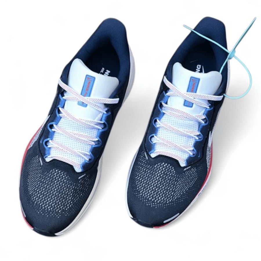 Pegasus 41