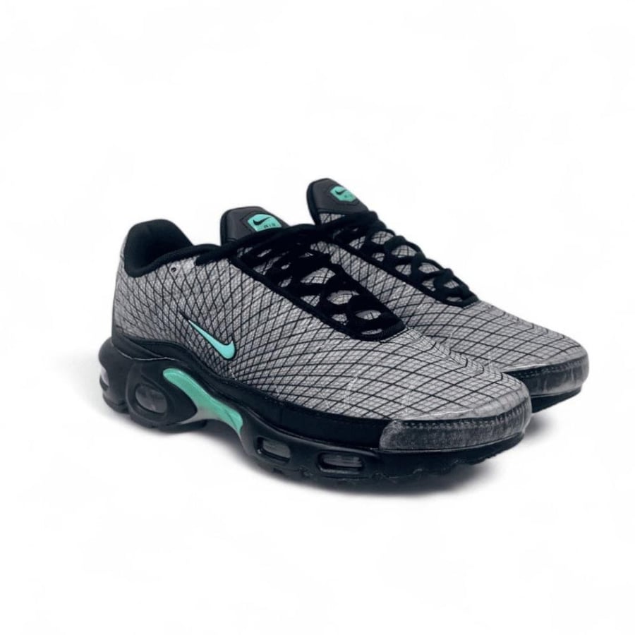 Air max plus