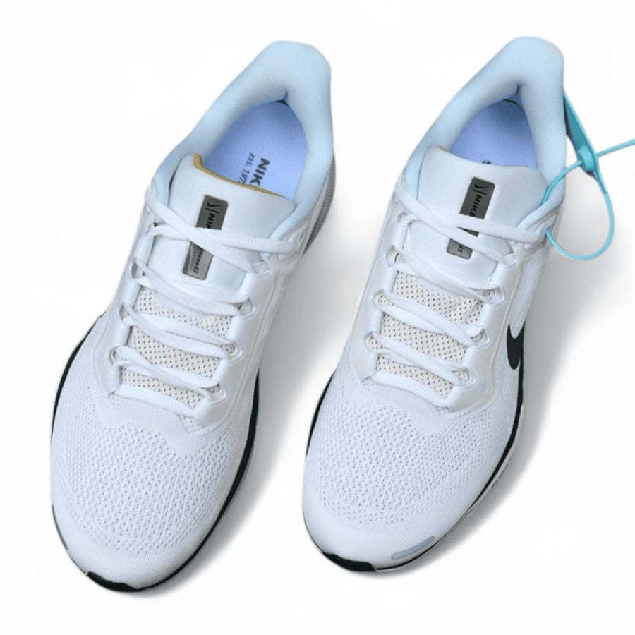 Pegasus 41