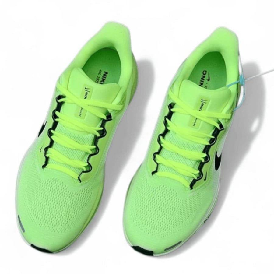 Pegasus 41