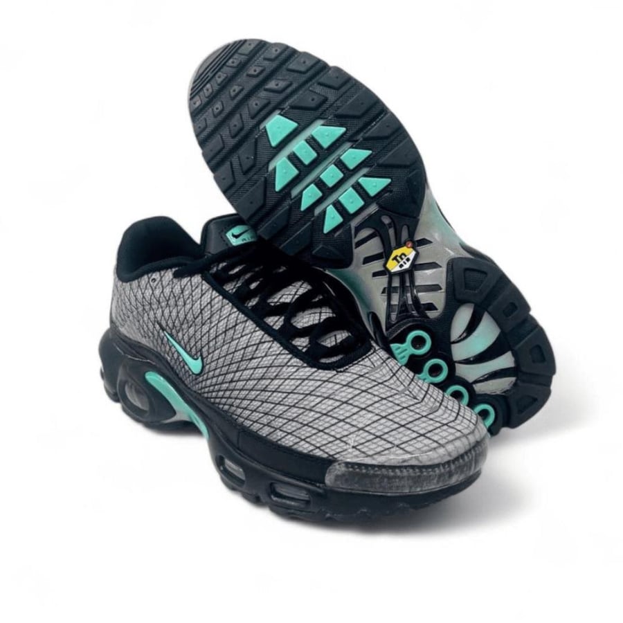 Air max plus