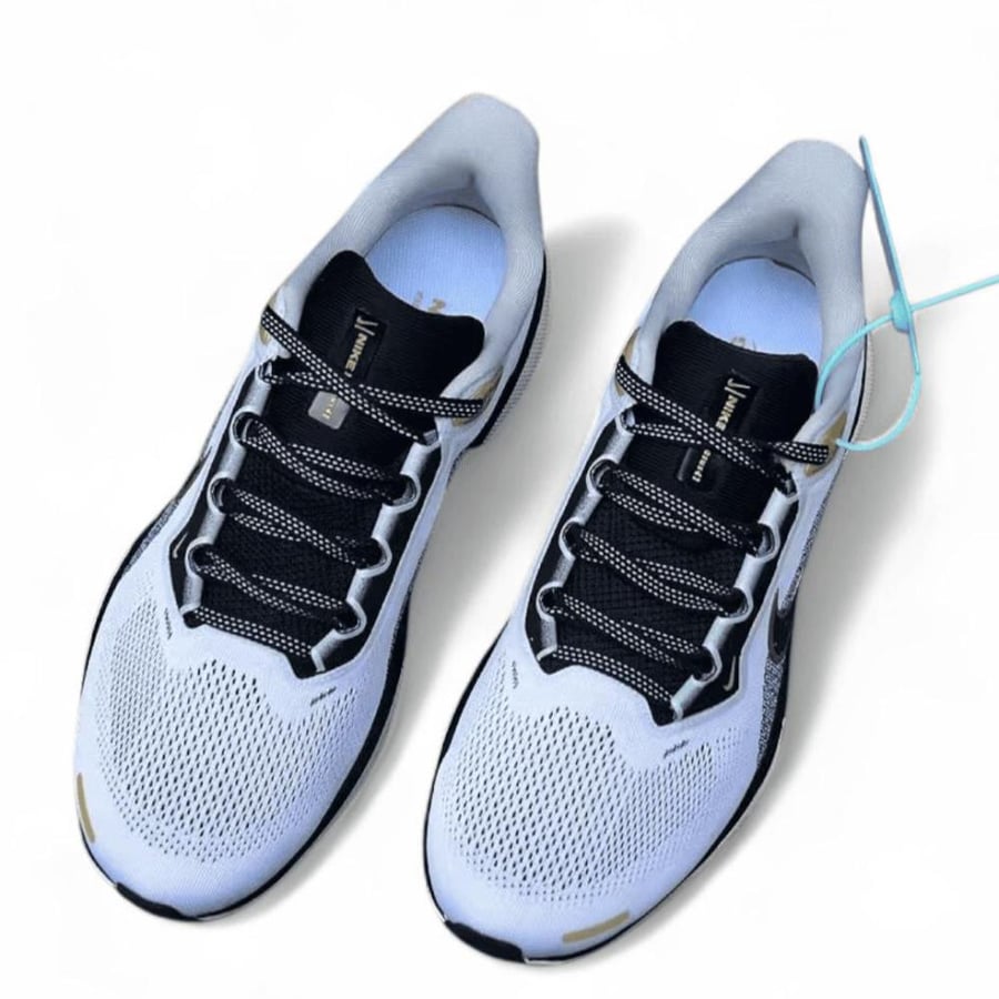 Pegasus 41