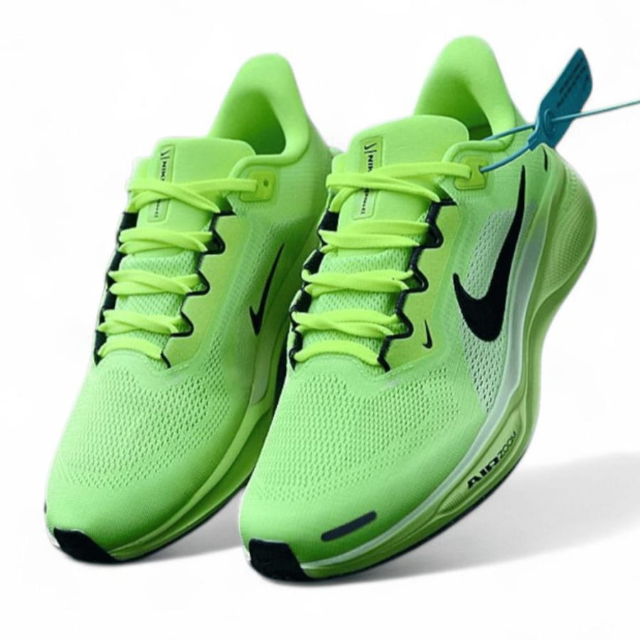 Pegasus 41