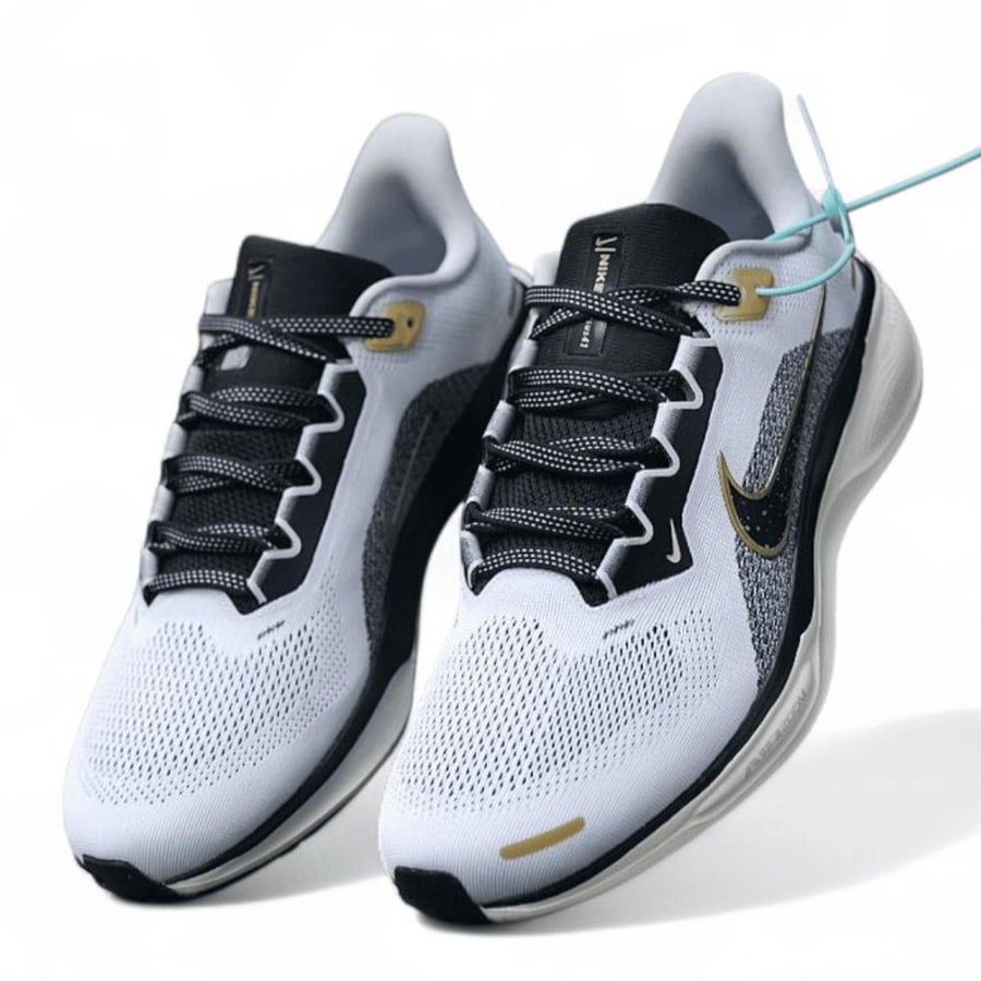 Pegasus 41