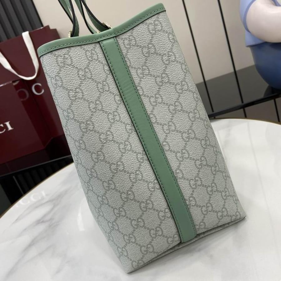 شنطة جوتشي ميني باكت GUCCI mini bucket bag