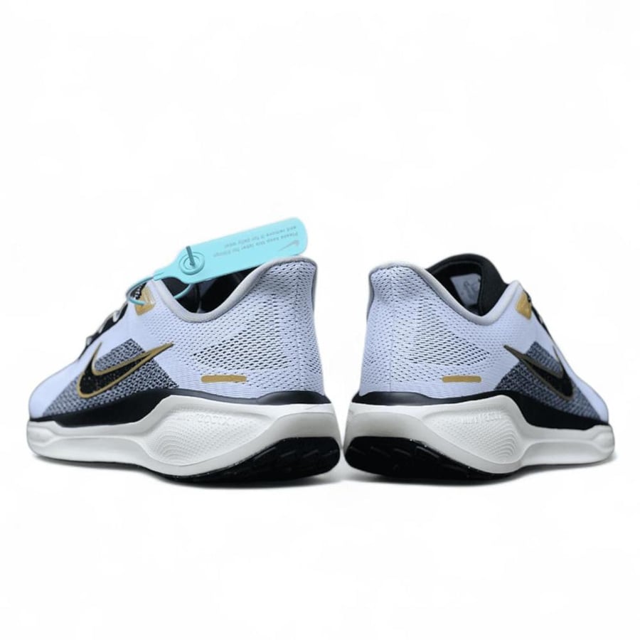 Pegasus 41