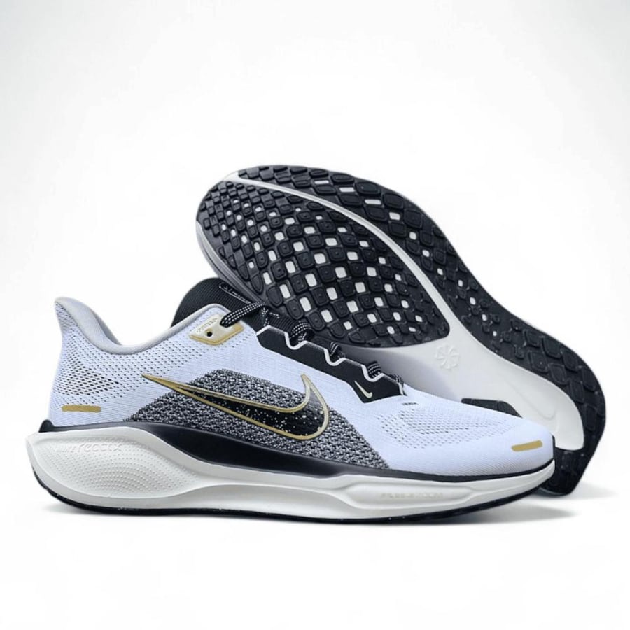 Pegasus 41