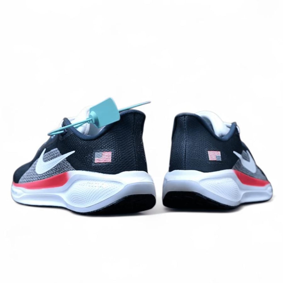 Pegasus 41