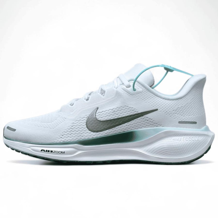Pegasus 41