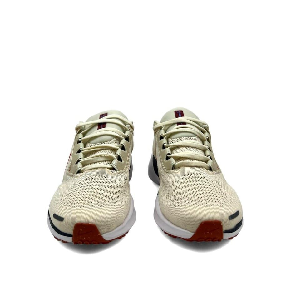 Pegasus 41