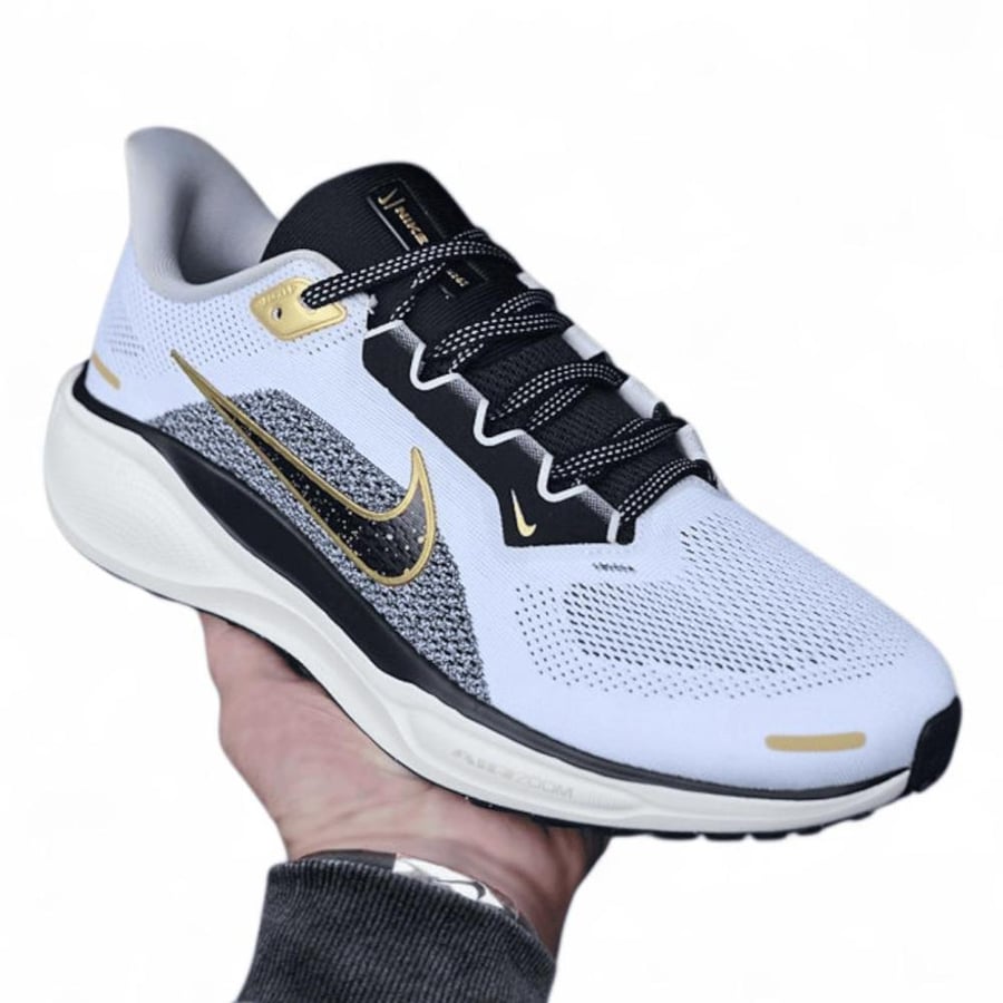 Pegasus 41