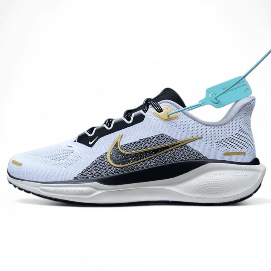 Pegasus 41