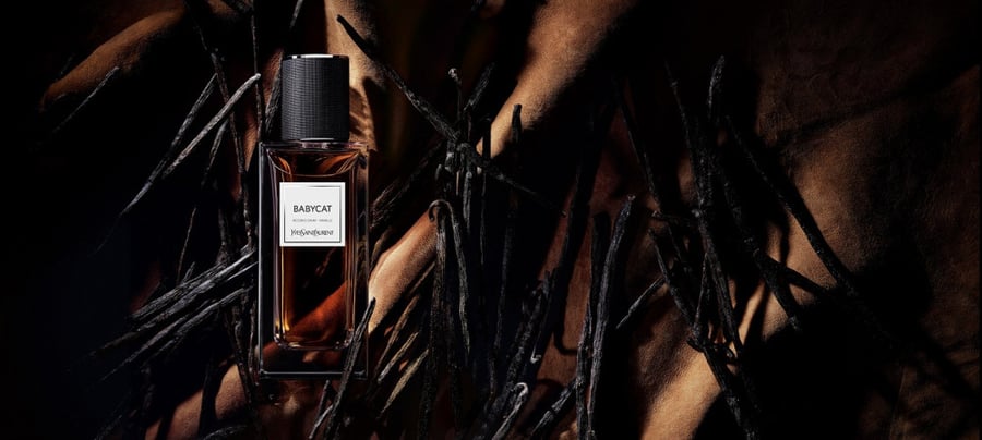 عينة عطر بيبي كات من ايف سان لوران