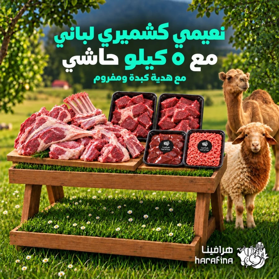 نعيمي كشميري لباني و 5 كيلو حاشي