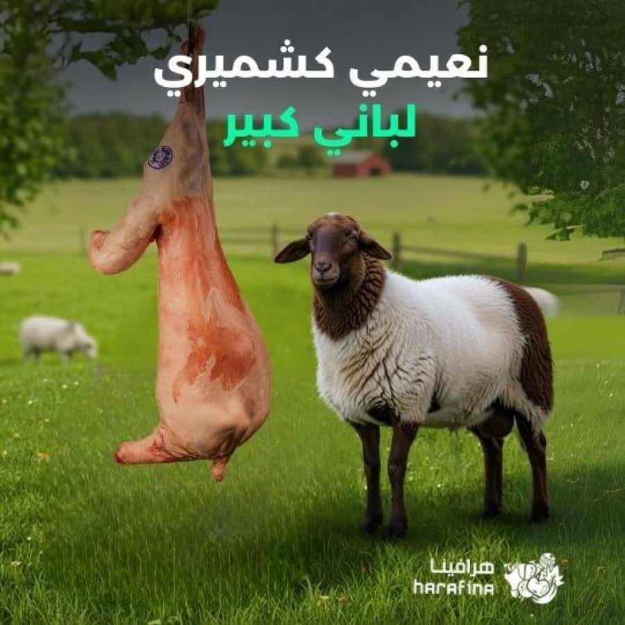 نعيمي لباني