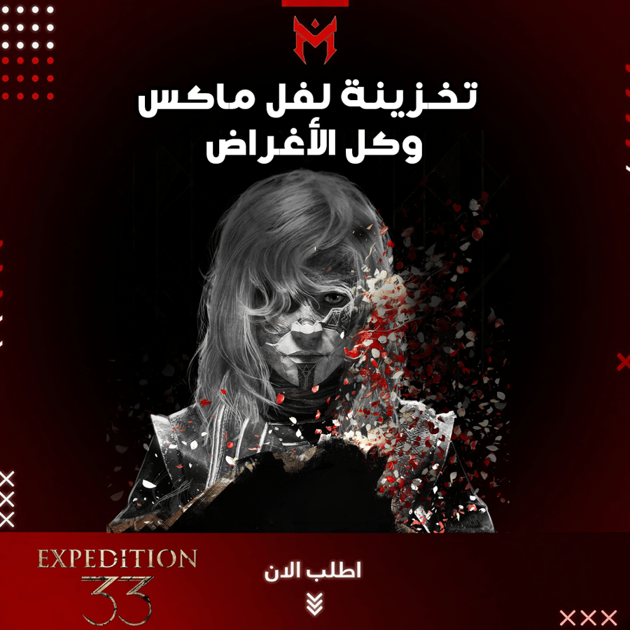 تخزينة لعبة Expedition 33 لفل ماكس وكل الأغراض