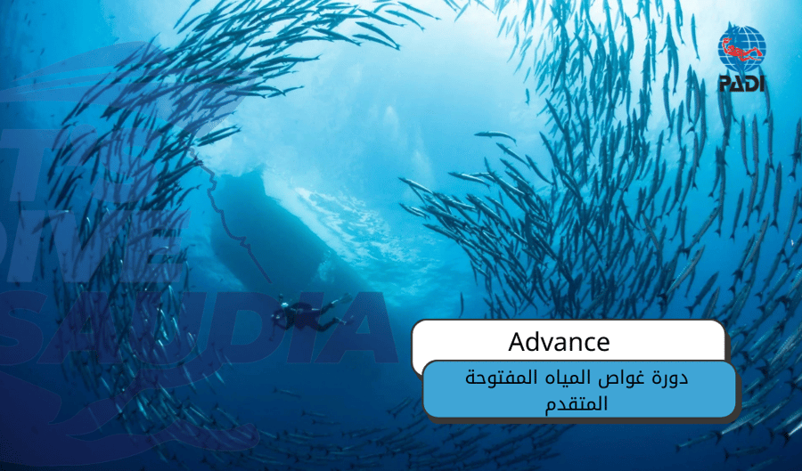 دورة غواص المياه المفتوحة المتقدم / Advance