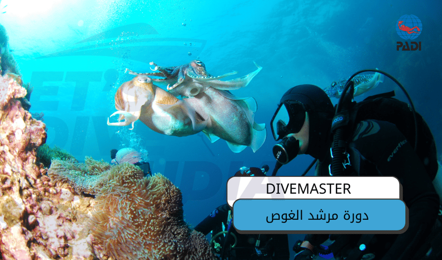 دورة مرشد الغوص / PADI DIVE MASTER