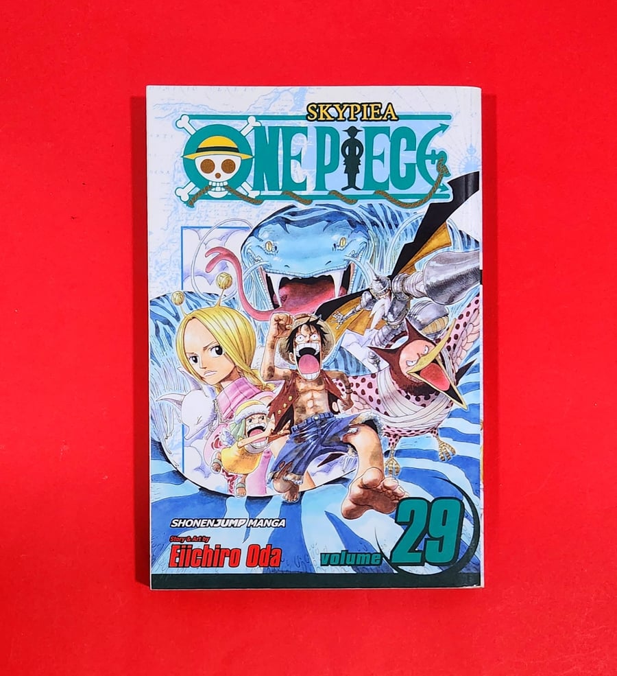 One Piece 29