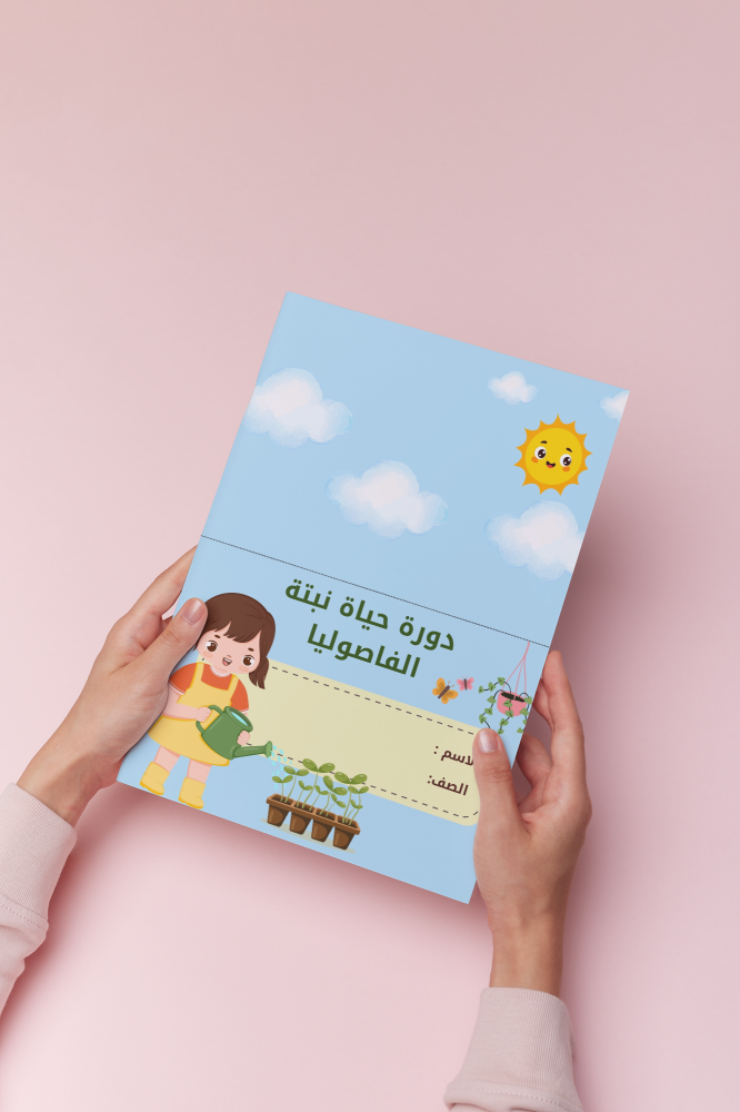 دورة حياة نبات الفاصوليا اول ابتدائي