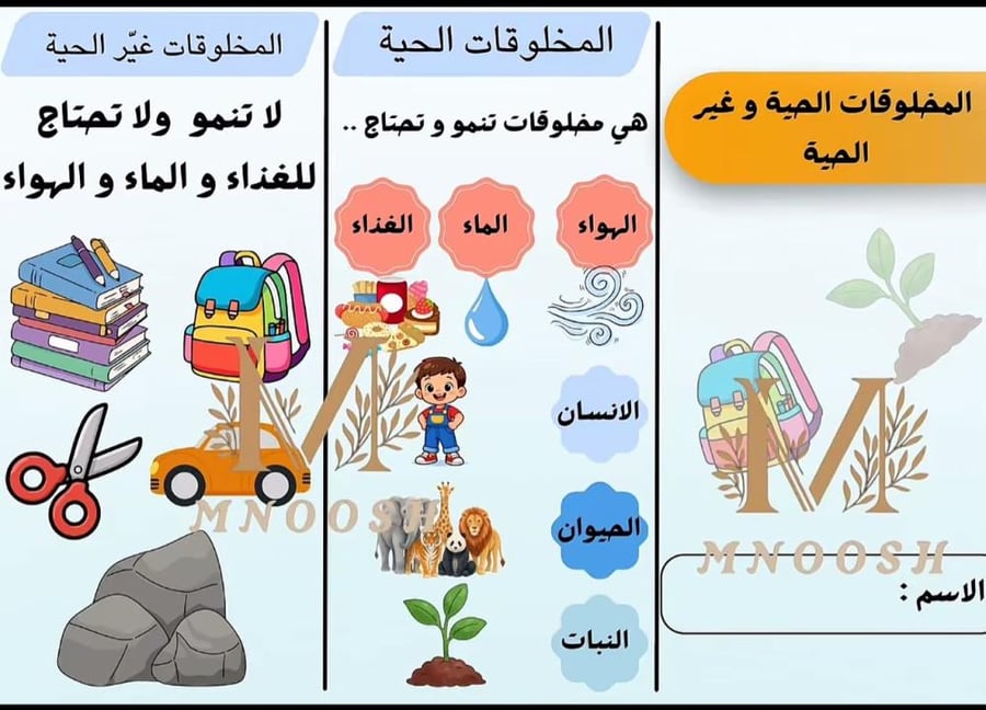 المخلوقات الحية و غير الحية