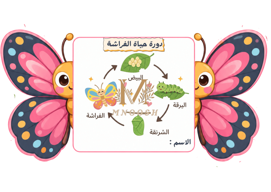 دورة حياة الفراشة
