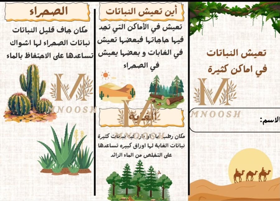 تعيش النباتات اماكن كثير