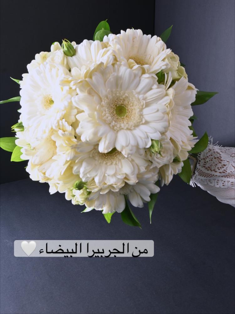 مسكة جرابيرا