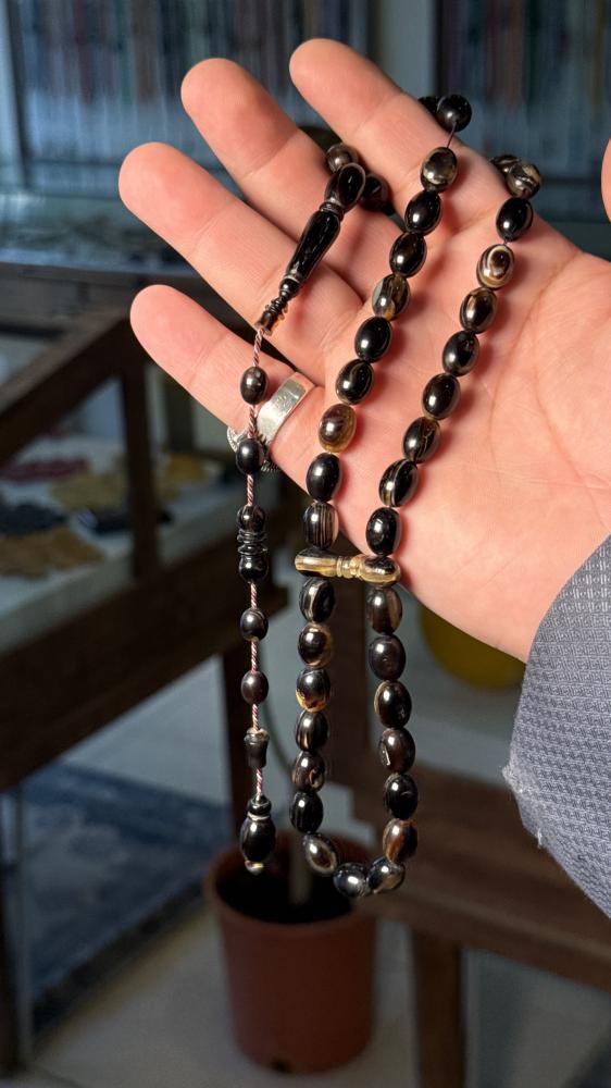 قشره السلحفاة ترسه