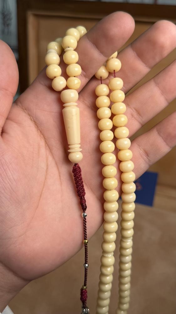مسباح الارنب