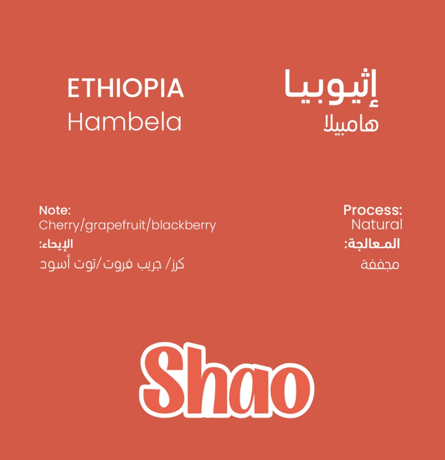 هامبيلا - إثيوبيا 1000g