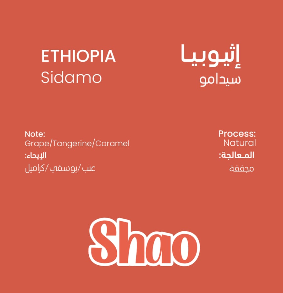 سيدامو - إثيوبيا 1000g