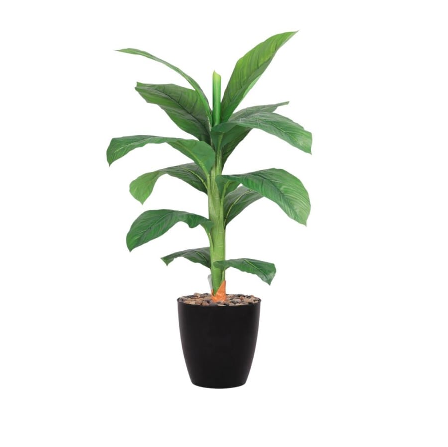 شجرة 1 فرع وسط