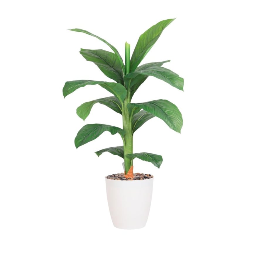 شجرة 1 فرع وسط