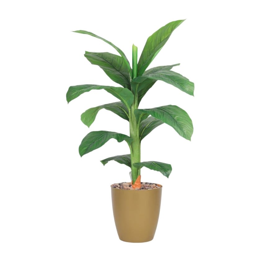 شجرة 1 فرع وسط