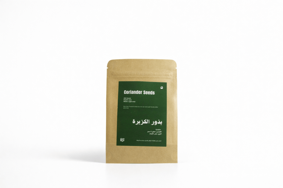 كزبرة