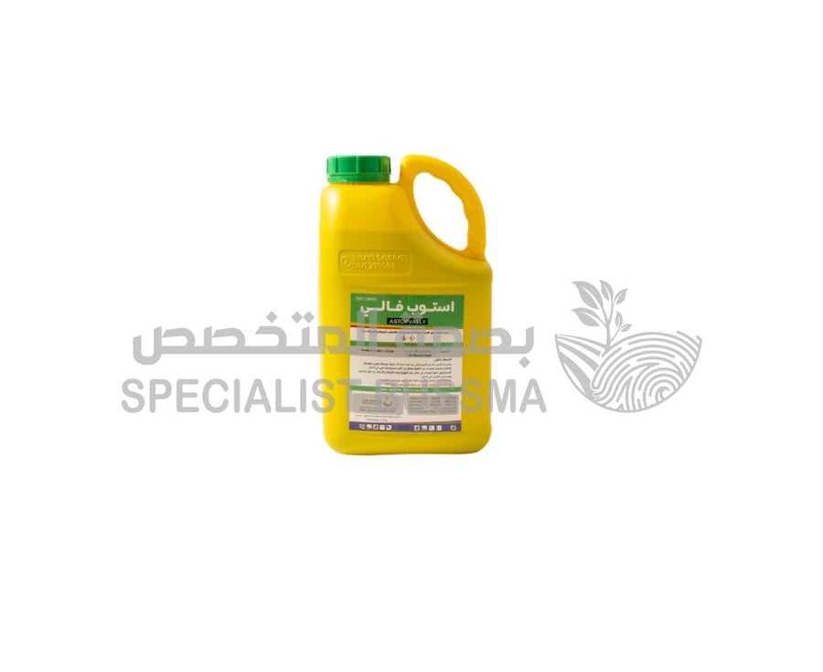 استوب فالي