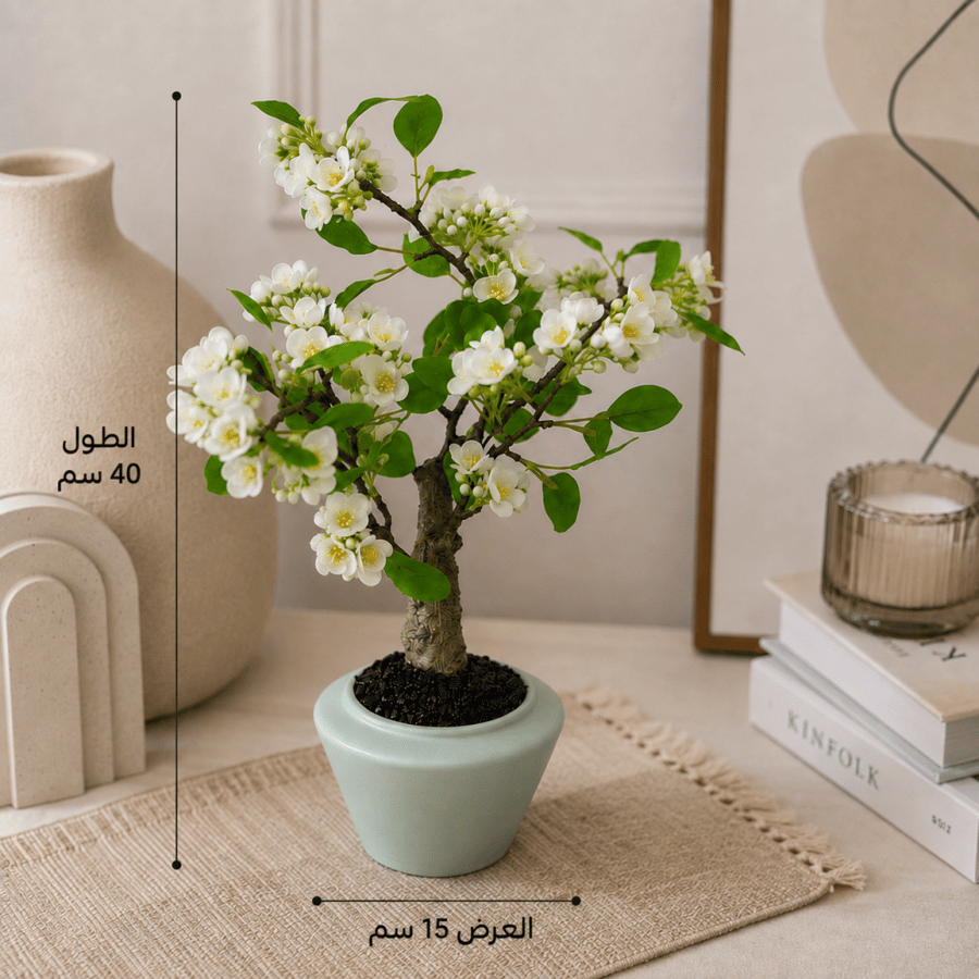 شتلة زهور مركن سماوي