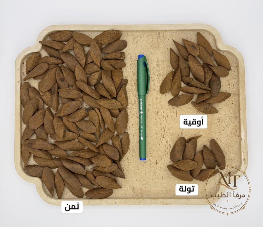 عود مروكي ميني محسّن