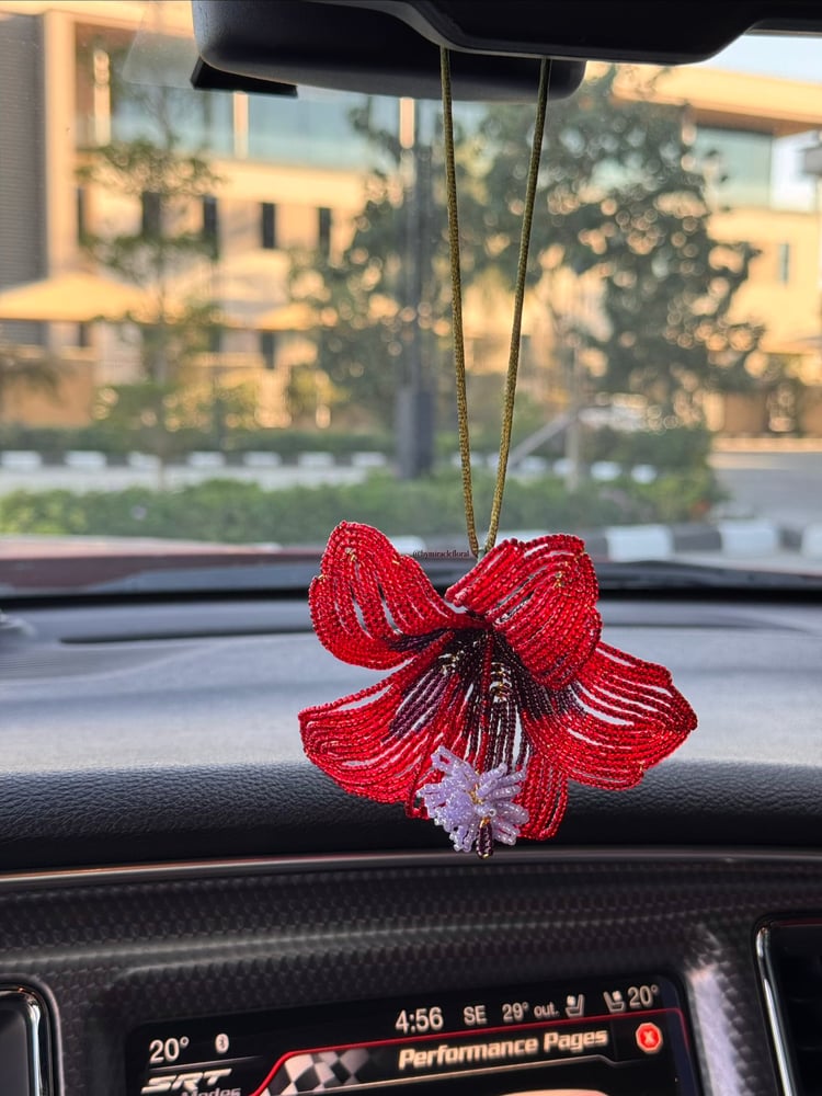Magical Hibiscus